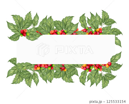 Banner made from coffee tree branches. Illustration with watercolor and marker. Botanical frame with Arabica and Robusta coffee varieties. Coffee day. Production, processing. Hand drawn art isolated. 125533154