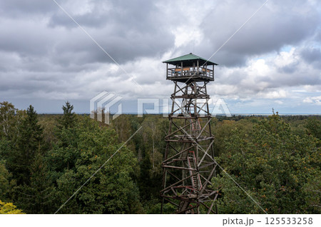 Elevated view of a wooden observation tower surrounded by dense forest under cloudy skies Elevated view of a wooden observation tower surrounded by dense forest under cloudy skies 125533258