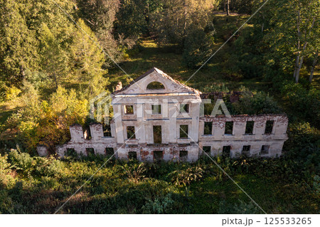 Ruins of an old building surrounded by lush vegetation in a rural landscape during daylight 125533265
