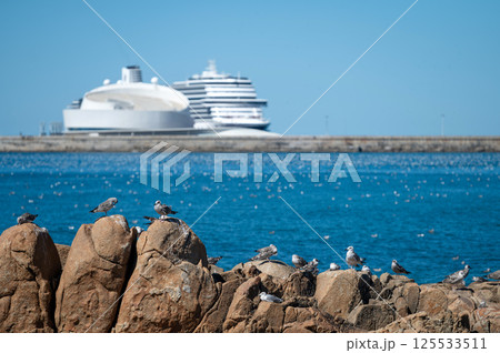 Seagulls perch on rocky outcrops as cruise ships float in the blue water. 125533511
