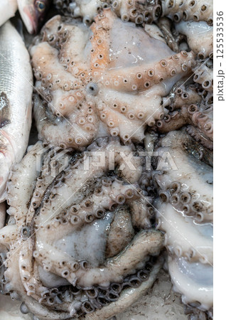 Fresh seafood display with octopus and fish on market counter in early morning Fresh seafood display with octopus and fish on market counter in early morning 125533536