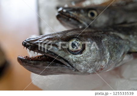 Freshly caught fish displayed on ice at a market showcasing local seafood offerings Freshly caught fish displayed on ice at a market showcasing local seafood offerings 125533539