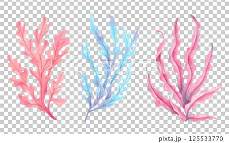 Pink, blue seaweed branch. Watercolor, marker illustration. Ocean botanical underwater algae. Hand drawn isolated art. Natural form of marine flora. For travel, cosmetology, children's design themes Pink, blue seaweed branch. Watercolor, marker illustration. Ocean botanical underwater algae. Hand drawn isolated art. Natural form of marine flora. For travel, cosmetology, children's design themes 125533770