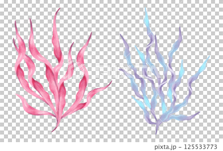 Pink, blue seaweed branch. Watercolor, marker illustration. Hand drawn isolated elements. Natural form of marine flora. Clip art of ocean botanical underwater plants for marine style design, cards 125533773
