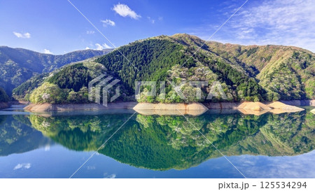 桜の残る新緑の奥多摩湖 125534294