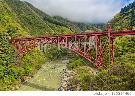 新緑に包まれた黒部峡谷鉄道の鉄橋 125534466