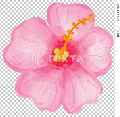 Summer watercolor style Summer watercolor style 125534762