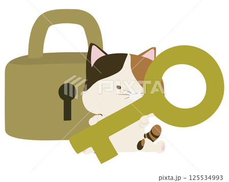 南京錠の前で鍵を持つ三毛猫 125534993