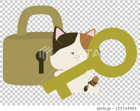 南京錠の前で鍵を持つ三毛猫 125534993