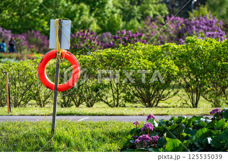 A lifebuoy by a waterhole in a park with green grass and purple flowers. 125535039