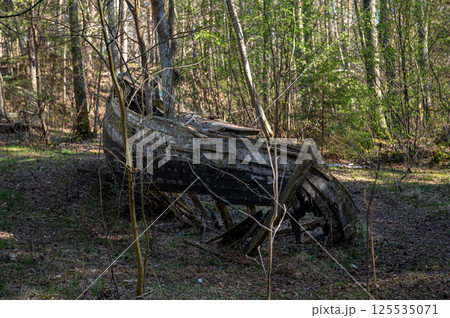 Old abandoned wooden fishing boat in the forest. Boats cemetery. 125535071