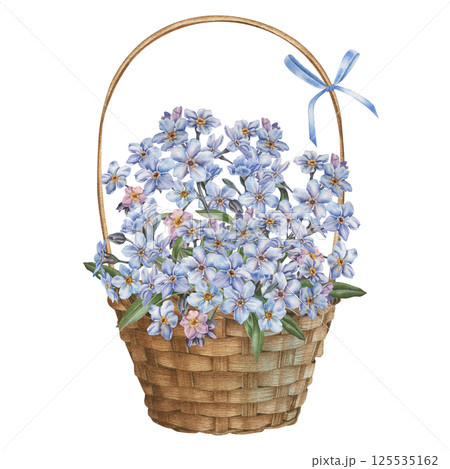 Wicker round basket with handle, bouquet of tiny blue flowers and bow. Hand drawn watercolor illustration of wooden container for rustic design on isolated background. Retro element for Easter decor. Wicker round basket with handle, bouquet of tiny blue flowers and bow. Hand drawn watercolor illustration of wooden container for rustic design on isolated background. Retro element for Easter decor. 125535162