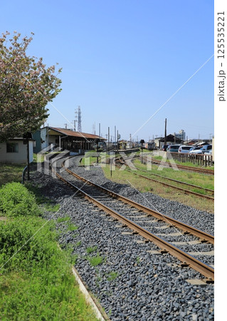 快晴の空と新緑に囲まれるひたちなか海浜鉄道/那珂湊駅に向かる線路(日本 茨城県ひたちなか市) 快晴の空と新緑に囲まれるひたちなか海浜鉄道/那珂湊駅に向かる線路(日本 茨城県ひたちなか市) 125535221