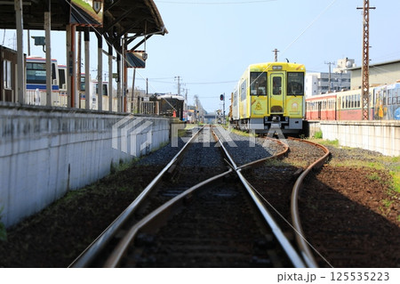 ひたちなか海浜鉄道/那珂湊駅構内の片開き分岐器（日本 茨城県ひたちなか市） 125535223