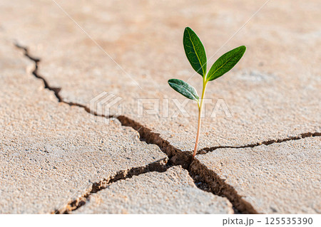 Artistic macro of a decaying leaf teeming with fungi, bacteria and insects, revealing nature cycle 125535390