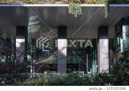 Modern Green Residential Building with Plants on Balconies, Japan Dec 10 2024 Modern Green Residential Building with Plants on Balconies, Japan Dec 10 2024 125535588