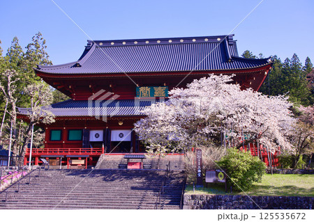 日光市　日光山輪王寺　三仏堂と満開の金剛桜 125535672