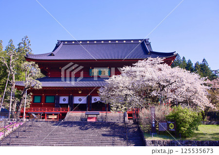 日光市 日光山輪王寺 三仏堂と満開の金剛桜 日光市 日光山輪王寺 三仏堂と満開の金剛桜 125535673