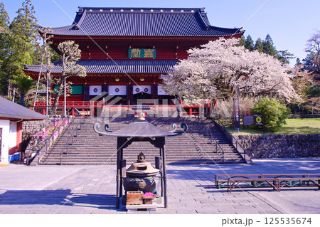 日光市　日光山輪王寺　三仏堂と満開の金剛桜 125535674