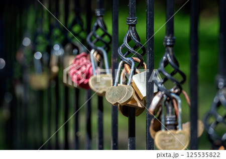 Heart-Shaped Padlocks on Iron Fence in Sunny Park During Daytime. Blurred background with copy space Heart-Shaped Padlocks on Iron Fence in Sunny Park During Daytime. Blurred background with copy space 125535822