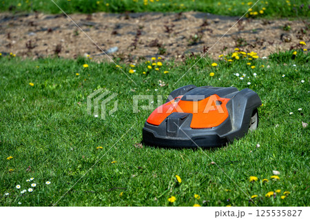 Autonomous Lawn Mower on Green Grass in a Sunny Park During the Day 125535827