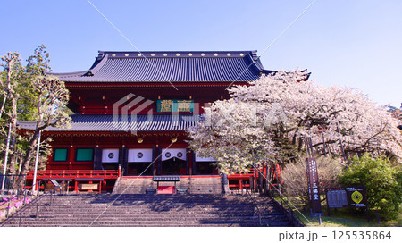 日光市　日光山輪王寺　三仏堂と満開の金剛桜 125535864