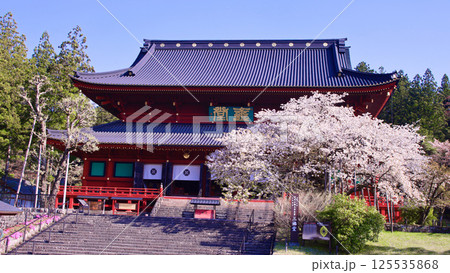 日光市 日光山輪王寺 三仏堂と満開の金剛桜 日光市 日光山輪王寺 三仏堂と満開の金剛桜 125535868