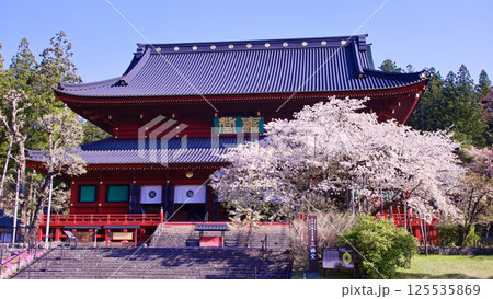 日光市 日光山輪王寺 三仏堂と満開の金剛桜 日光市 日光山輪王寺 三仏堂と満開の金剛桜 125535869