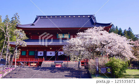 日光市　日光山輪王寺　三仏堂と満開の金剛桜 125535871