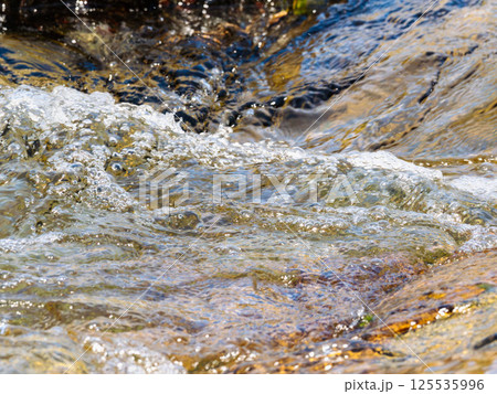春の川 水の流れアップ198 春の川 水の流れアップ198 125535996