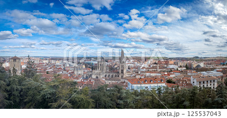 Scenic View of Historic City and Gothic Cathedral Scenic View of Historic City and Gothic Cathedral 125537043