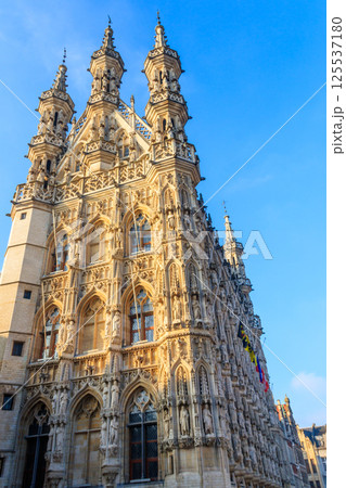 Town Hall in Leuven, Belgium 125537180