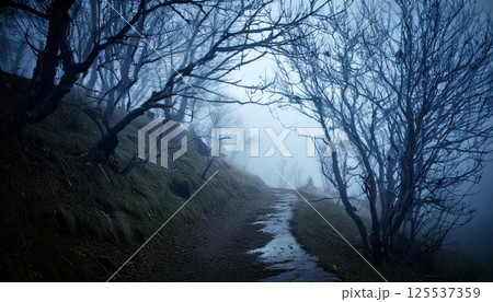 foggy, desolate hillside path winds through gnarled dead trees, creating eerie atmosphere. thick mist envelops landscape, enhancing post apocalyptic feel 125537359