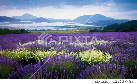 vibrant landscape painting depicts colorful lavender field with white wildflowers under serene blue sky, surrounded by distant mountains and lush greenery, evoking tranquility 125537485