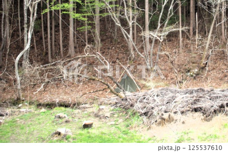 ブッシュクラフトキャンプ 125537610