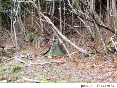 ブッシュクラフトキャンプ ブッシュクラフトキャンプ 125537613