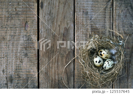 Rustic wooden background with an empty bird nest placed on it symbolizing nature simplicity and countryside life perfect for eco design concepts rural lifestyle and natural backgrounds Rustic wooden background with an empty bird nest placed on it symbolizing nature simplicity and countryside life perfect for eco design concepts rural lifestyle and natural backgrounds 125537645