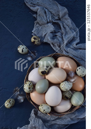 Rustic still life with colorful chicken and quail eggs placed on a dark fabric background perfect for farm-fresh organic food concepts Easter decorations and countryside lifestyle themes Rustic still life with colorful chicken and quail eggs placed on a dark fabric background perfect for farm-fresh organic food concepts Easter decorations and countryside lifestyle themes 125537646