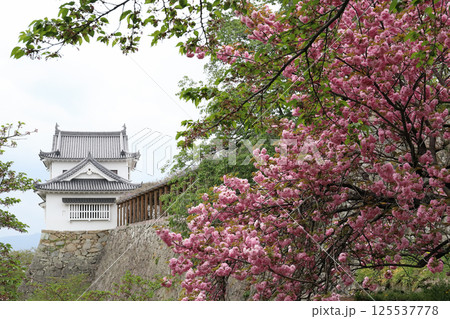 津山城跡（岡山県 津山市） 125537778