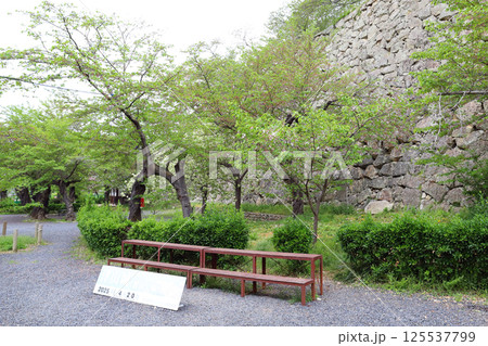 津山城跡（岡山県 津山市） 125537799