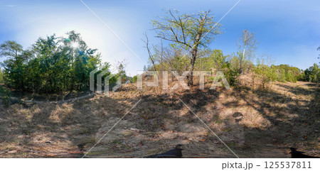 Full seamless 360 degree angle view spherical HDRi panorama of green forest trails during autumn season in equirectangular projection. AR VR virtual reality content scene natural landscape 125537811