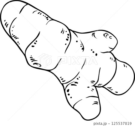 Turmeric  Root Outline  Illustration 125537819