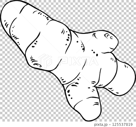 Turmeric Root Outline Illustration Turmeric Root Outline Illustration 125537819