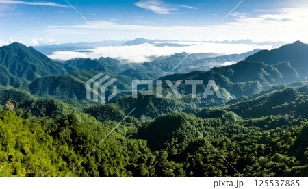 Aerial view of vibrant green tropical mountain range with thick forest canopy, showcasing layers of lush vegetation and distant mountains clear blue sky. scene evokes sense of tranquility Aerial view of vibrant green tropical mountain range with thick forest canopy, showcasing layers of lush vegetation and distant mountains clear blue sky. scene evokes sense of tranquility 125537885