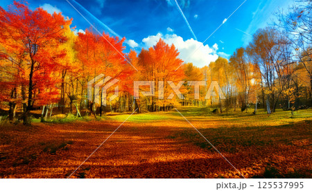 vibrant autumn forest filled with colorful foliage, showcasing brilliant orange and yellow leaves under vivid blue sky. scene evokes sense of tranquility and natural beauty 125537995