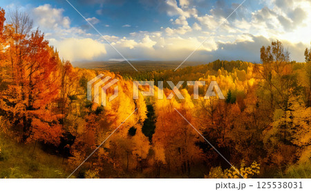 breathtaking panoramic view of colorful forest fall, showcasing vibrant golden and orange foliage dramatic sky with clouds. golden light filters through, creating warm and inviting atmosphere 125538031