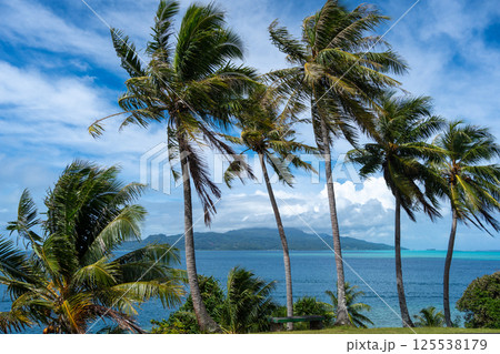 Panoramic View of Raiatea Island from Tahaa, French Polynesia Panoramic View of Raiatea Island from Tahaa, French Polynesia 125538179