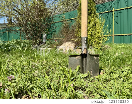 Shovel Stuck in Grass in a Backyard Garden Scene Shovel Stuck in Grass in a Backyard Garden Scene 125538320