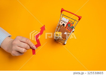 Growing demand in real estate, construction rates and trends. Rising housing prices. Rental cost. A supermarket cart with houses and an arrow up in the female hands. Growing demand in real estate, construction rates and trends. Rising housing prices. Rental cost. A supermarket cart with houses and an arrow up in the female hands. 125538603