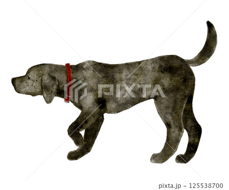 首輪を付けた黒い犬の水彩画 125538700